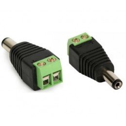 Plug P4 2.1 x 55 C/ Borne