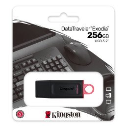 PEN DRIVE 256GB EXODIA -...